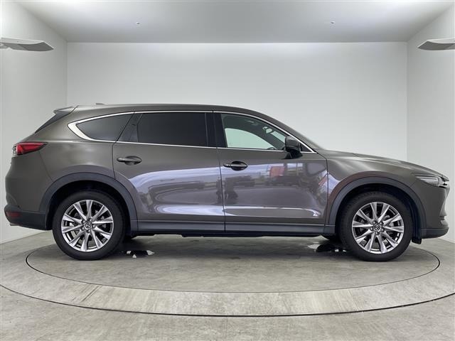 Mazda CX-8 2019 7675195-22