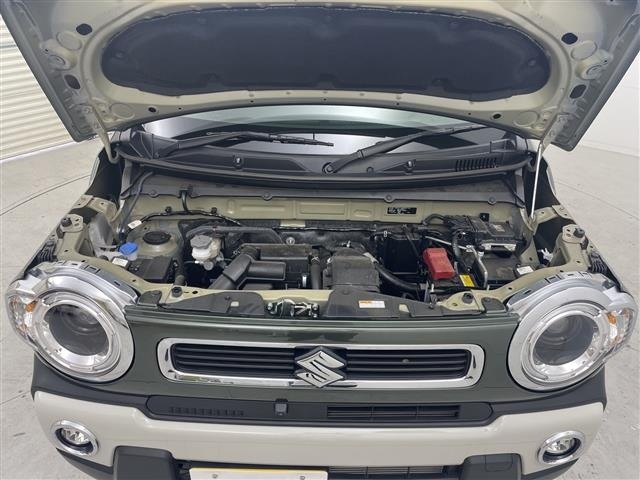 Suzuki HUSTLER 2025 7688996-14