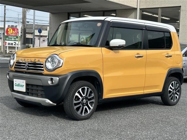 Suzuki HUSTLER 2019 7689014-17