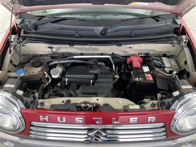 Suzuki HUSTLER 2017 7689015-14