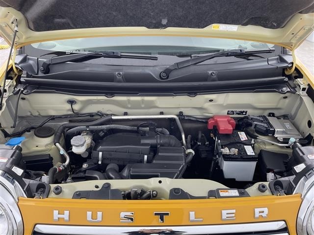 Suzuki HUSTLER 2019 7689023-14