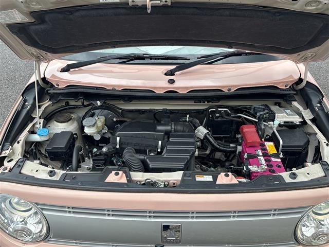 Suzuki LAPIN 2017 7690076-14