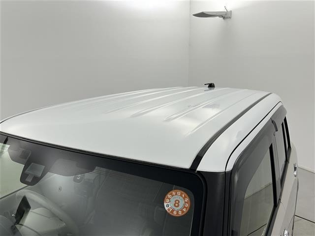 Suzuki LAPIN 2015 7690077-2