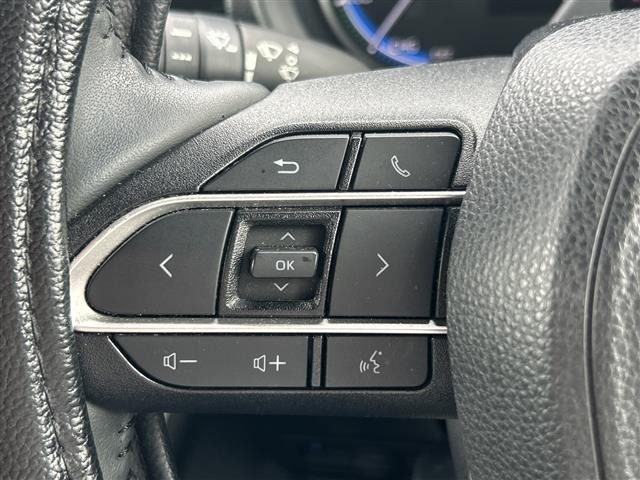 Toyota NOAH 2023 7688876-8