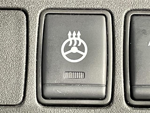 Nissan SERENA 2021 7689120-20
