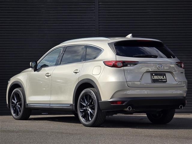 Mazda CX-8 2022 7695383-13