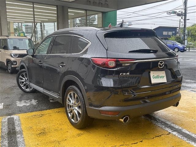 Mazda CX-8 2019 7695388-13