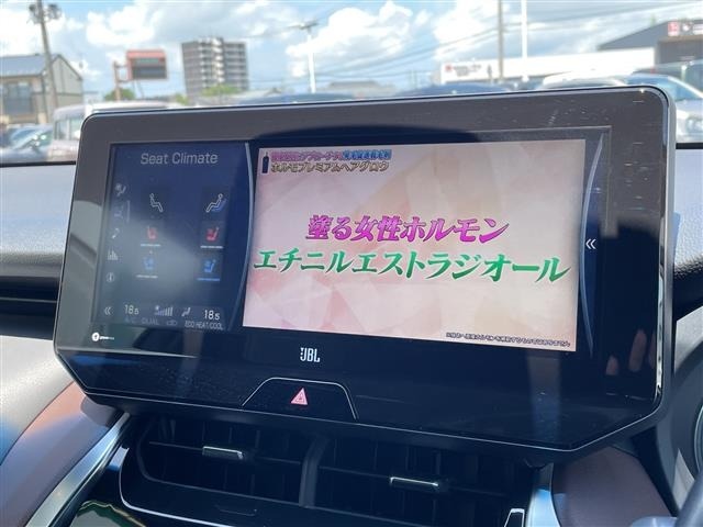 Toyota HARRIER 2022 7695574-17