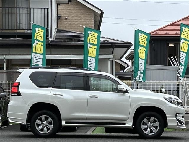 Toyota LAND CRUISER PRADO 2022 7691447-18