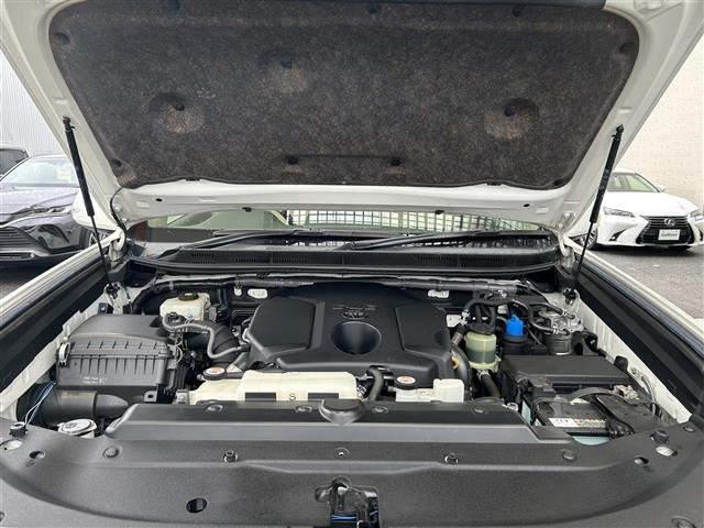 Toyota LAND CRUISER PRADO 2019 7691520-14
