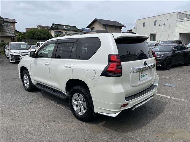 Toyota LAND CRUISER PRADO 2019 7691618-18