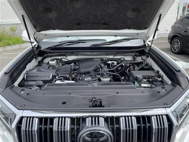 Toyota LAND CRUISER PRADO 2019 7691618-8