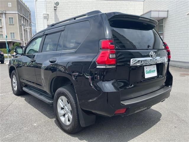 Toyota LAND CRUISER PRADO 2019 7691628-21