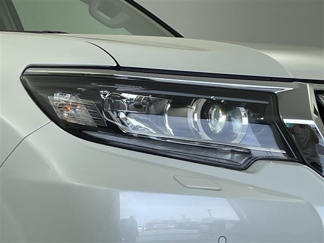 Toyota LAND CRUISER PRADO 2019 7691630-11