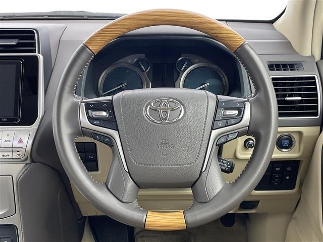 Toyota LAND CRUISER PRADO 2019 7691630-14