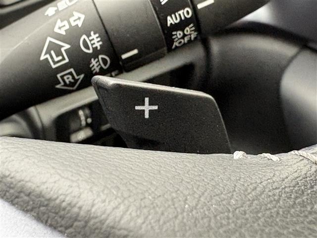 Subaru LEVORG 2020 7694946-12