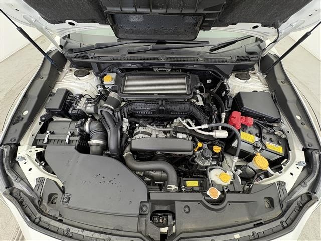 Subaru LEVORG 2020 7694946-14