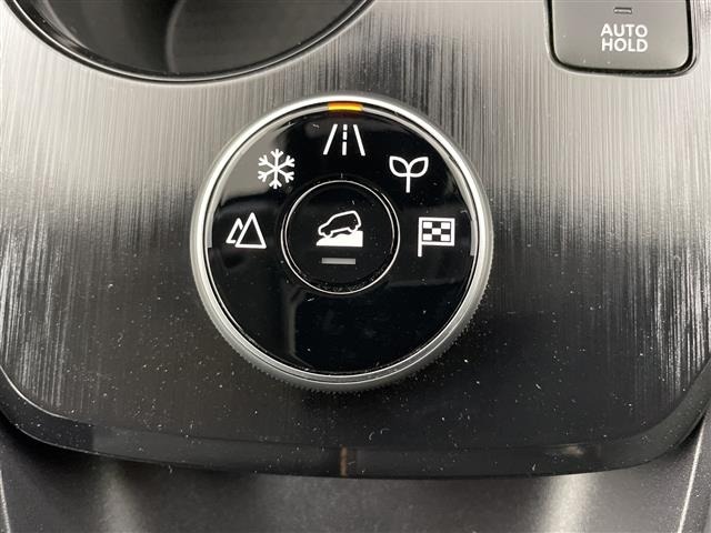 Nissan X-TRAIL 2025 7694469-9