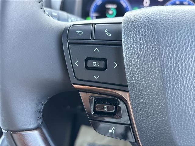 Toyota ALPHARD 2025 7716386-21
