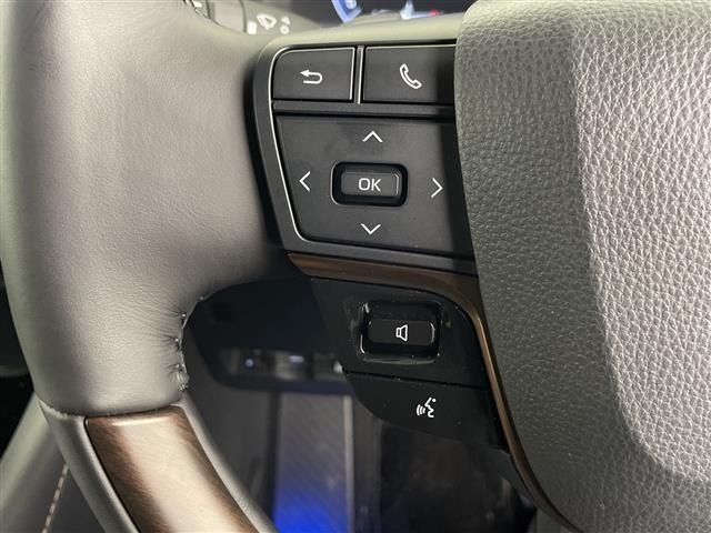 Toyota ALPHARD 2024 7716526-7