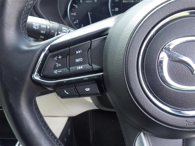 Mazda CX-8 2020 7719569-3