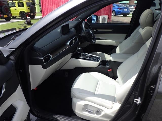 Mazda CX-8 2020 7719569-4