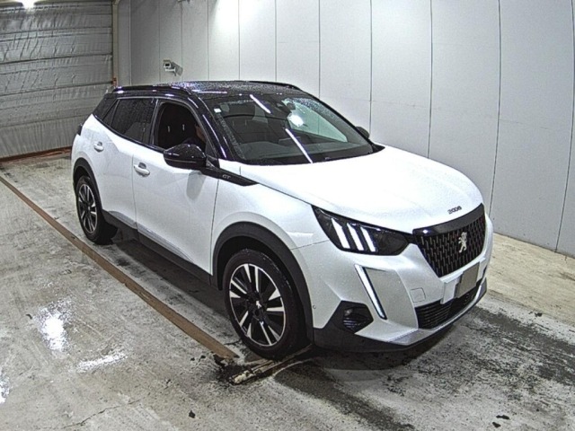 Peugeot 2008 2021 7736905-0