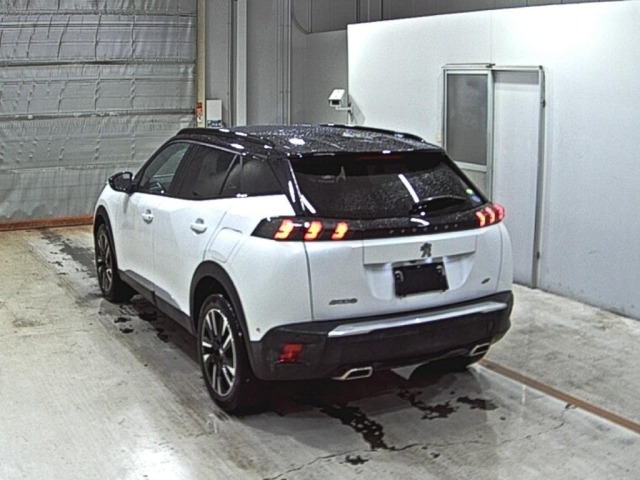 Peugeot 2008 2021 7736905-1