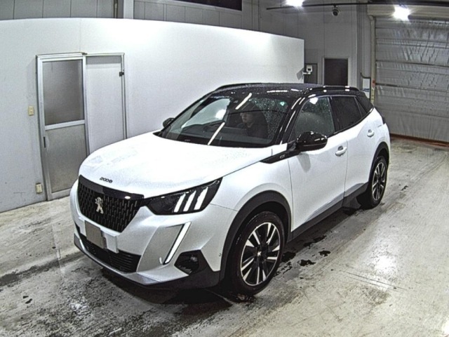 Peugeot 2008 2021 7736905-4