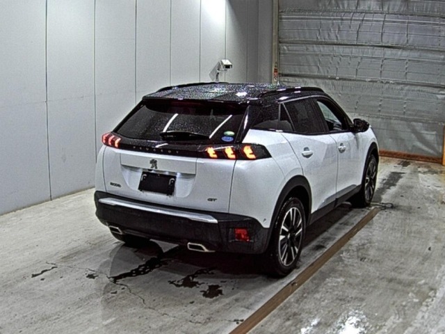 Peugeot 2008 2021 7736905-5