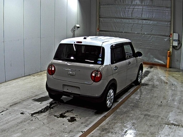 Suzuki LAPIN 2015 7741326-5
