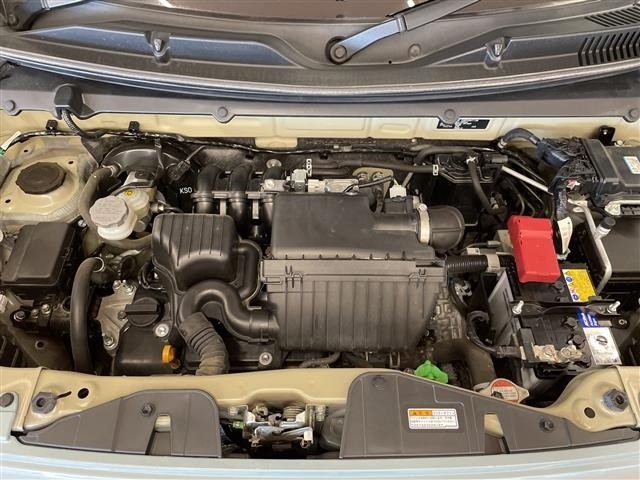 Suzuki HUSTLER 2024 7766744-13