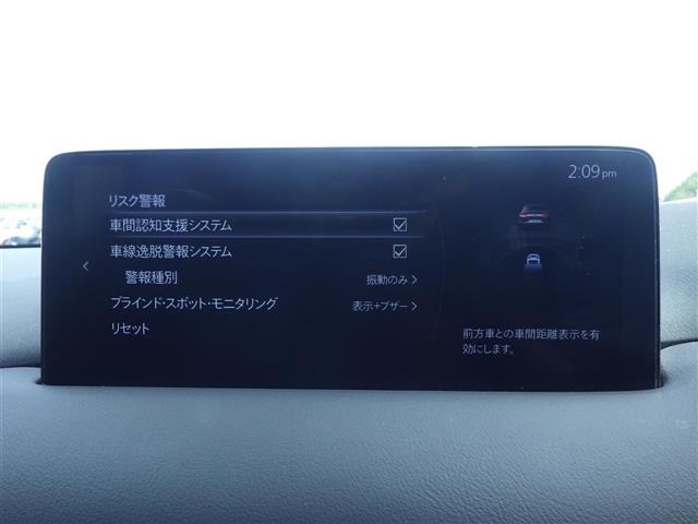 Mazda CX-8 2023 7818899-7