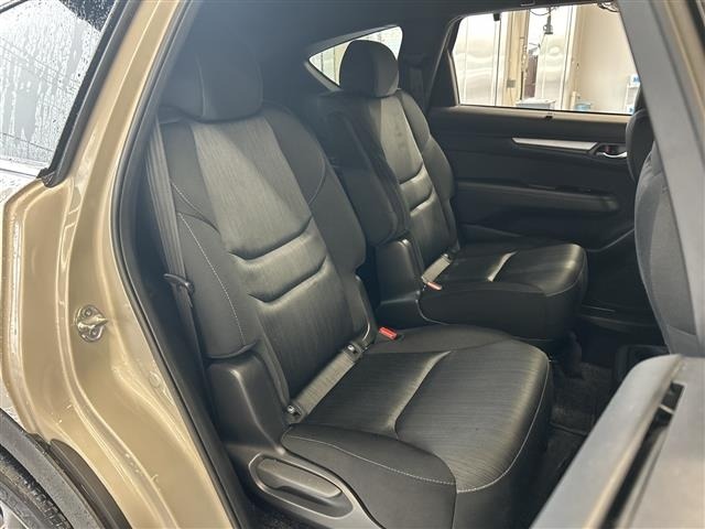 Mazda CX-8 2023 7819038-2