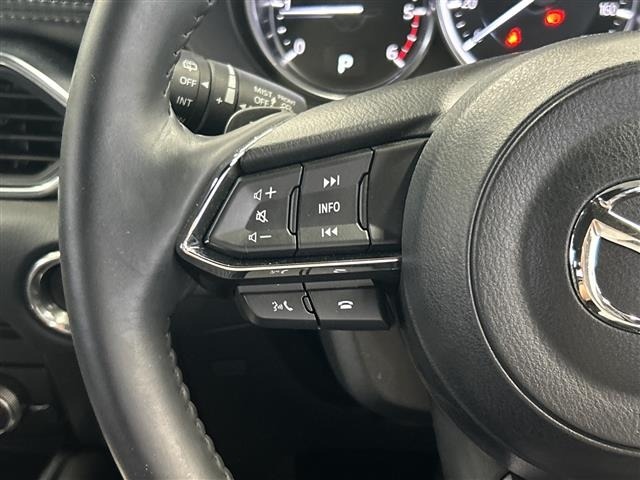 Mazda CX-8 2023 7819038-8