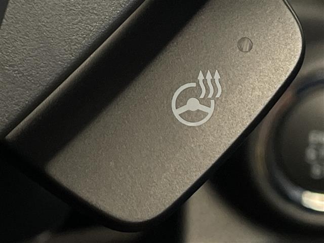 Subaru FORESTER 2023 7774077-20