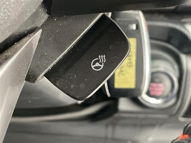 Subaru FORESTER 2021 7774088-7
