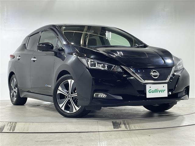 Nissan LEAF 2019 7774026-0