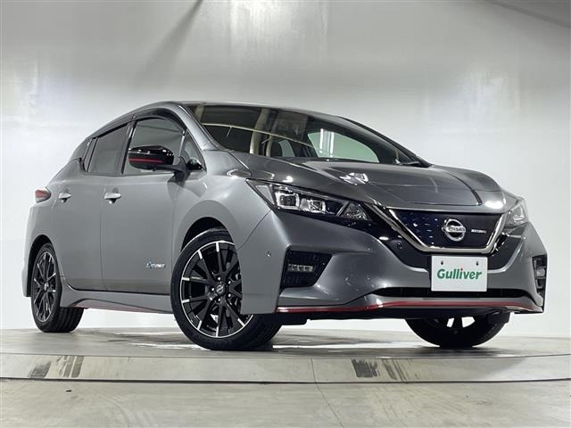 Nissan LEAF 2019 7774029-0