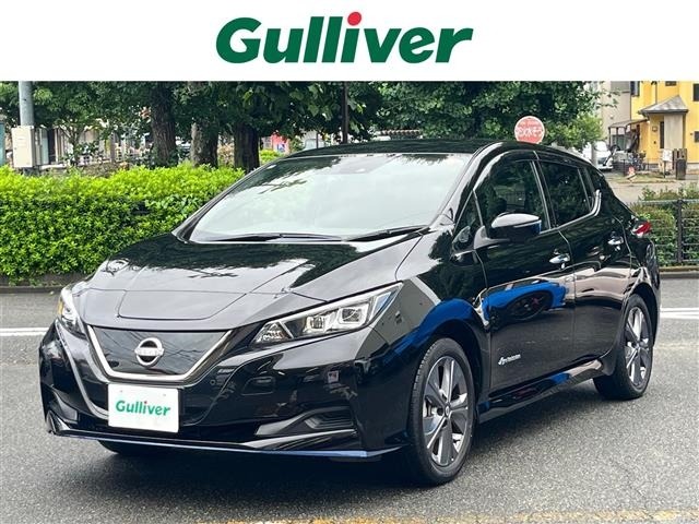 Nissan LEAF 2021 7774032-0