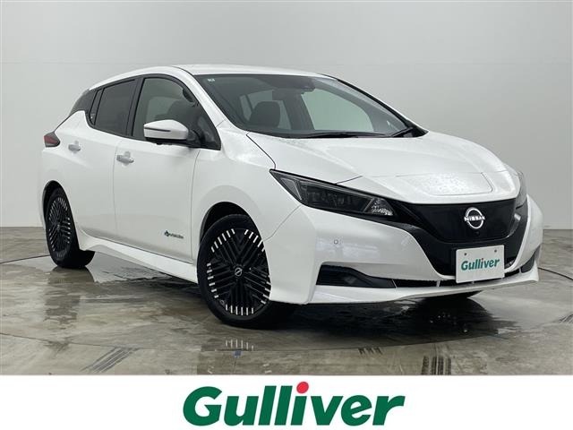 Nissan LEAF 2025 7774033-0