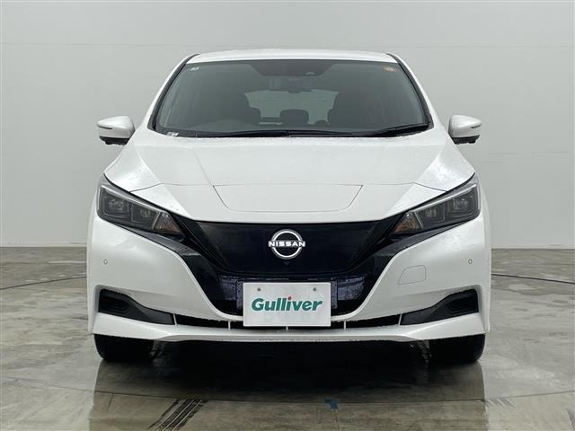 Nissan LEAF 2025 7774033-2
