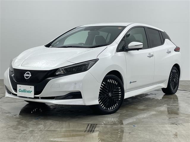 Nissan LEAF 2025 7774033-6