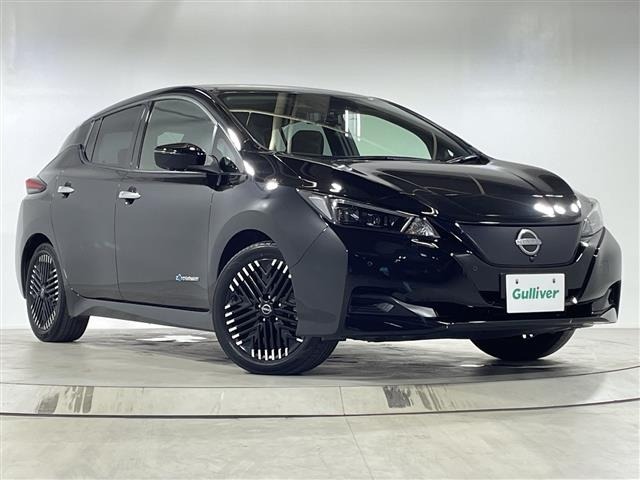 Nissan LEAF 2023 7774034-0
