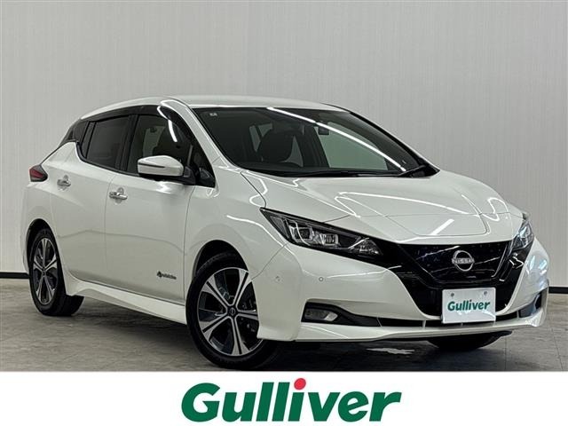 Nissan LEAF 2022 7774036-0