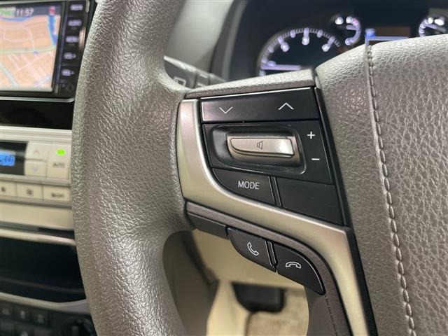 Toyota LAND CRUISER PRADO 2019 7844271-3