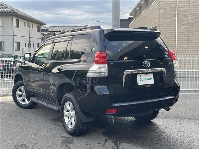 Toyota LAND CRUISER PRADO 2009 7844286-14