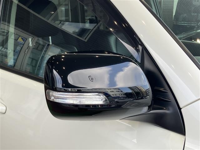 Toyota LAND CRUISER PRADO 2020 7844293-19