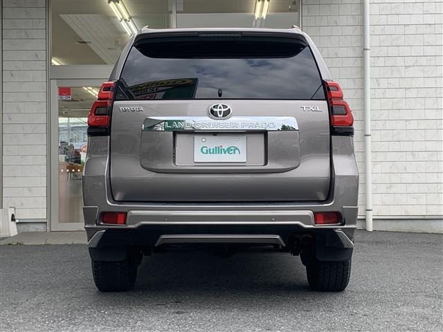 Toyota LAND CRUISER PRADO 2021 7844316-18