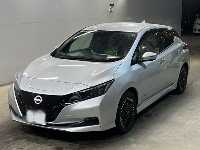 Nissan LEAF 2024 7841152-0